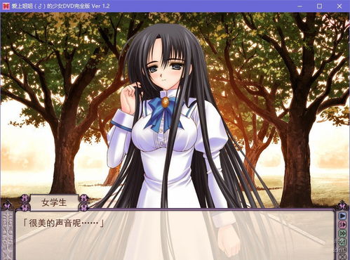 少女爱上姐姐全角色攻略,2025最新7路线选项分支与隐藏CG解锁完全指南 少女爱上姐姐全角色攻略,2025最新7路线选项分支与隐藏CG解锁完全指南