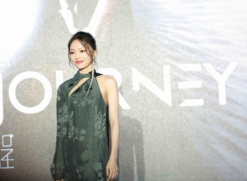 陈丽君《镖人》路演现场落泪：我把命都交代出去了