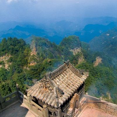 问道宠物时装天花板在哪？2025绝版幻化全类型实战评测