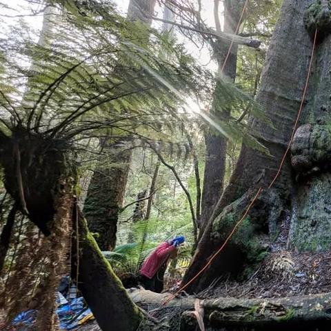 巫师3凭空出现的塔进不去？2025最全解谜攻略与隐藏奖励揭秘