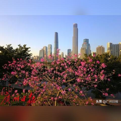 2025地狱兔子终极指南,愤怒的死亡兔子全成就速通攻略 2025地狱兔子终极指南,愤怒的死亡兔子全成就速通攻略