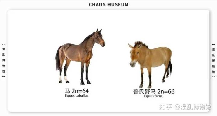 为什么你的乌骓马总落后?2025最新类型匹配与进阶全攻略 为什么你的乌骓马总落后?2025最新类型匹配与进阶全攻略