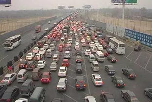 凌晨5点服务区被一车集体打鸣的鸡吵醒，这噪音比尖叫鸡还厉害！