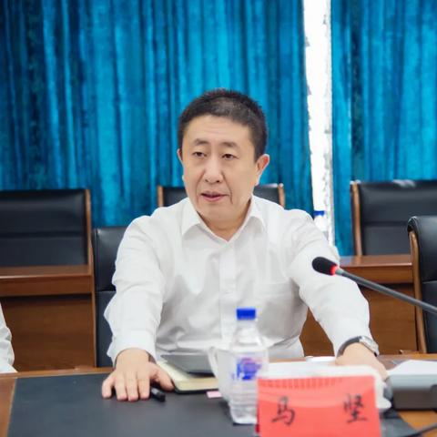 宠物森林2025绝版攻略，3天精通隐藏机制与资源暴击法则