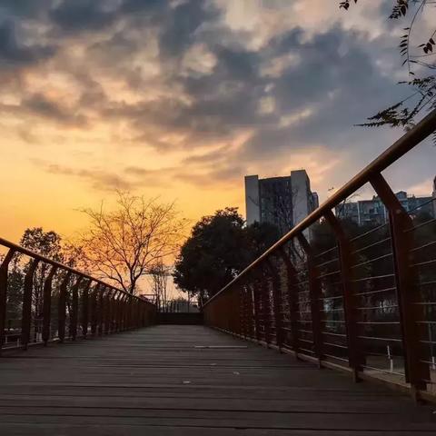 阴阳师水池类型全解密，2025最新抽卡机制与资源分配实战指南