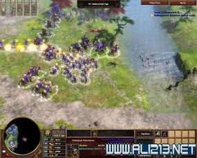 帝国时代3亚洲王朝密码大全2025,为什么你的秘籍总失效?终极解决方案 帝国时代3亚洲王朝密码大全2025,为什么你的秘籍总失效?终极解决方案