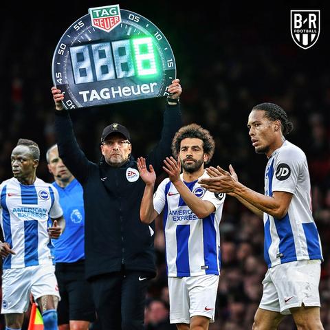 惊！门将开球击落海鸥，队长胸外按压奇迹救活它