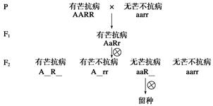 花屏的三种基因型,你下错补丁的根源 花屏的三种基因型,你下错补丁的根源
