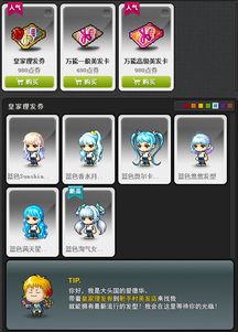 冒险岛皇家发型怎么选？2025最新8大类型实测数据与隐藏机制全解析