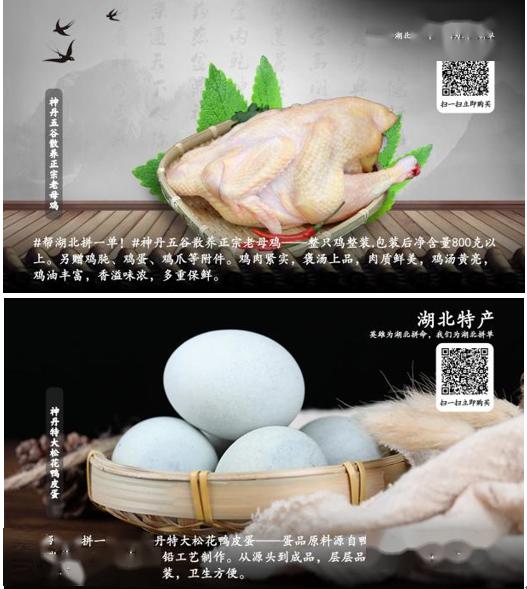 2月新品节双人动作肉鸽虫虫巴迪上线，demo更新及未来计划揭秘！