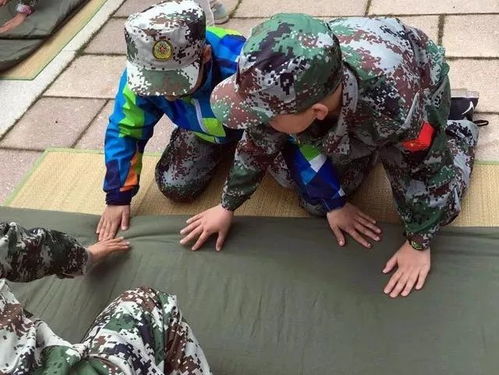 保卫村庄第50关过不去？这套动态布局方案让生存率提升300%