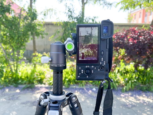 桌面宠物卡顿崩溃？2026年终极优化指南，从0到1打造丝滑AI助手