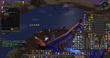 WOW钓鱼海龟坐骑刷多久?2025年7天必出秘籍+日入万金钓点实测 WOW钓鱼海龟坐骑刷多久?2025年7天必出秘籍+日入万金钓点实测