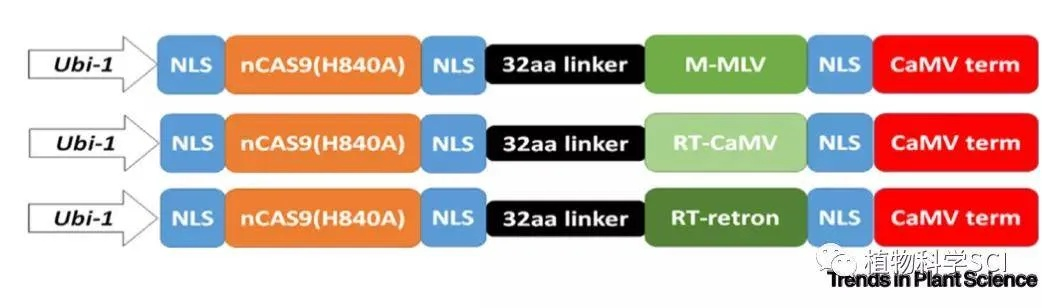 平台基因解码，从17173母体衍生的轻量化生存策略