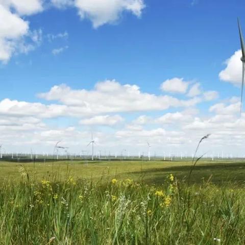 新天翼之链2025终极指南,零氪党如何30天登顶战力榜? 新天翼之链2025终极指南,零氪党如何30天登顶战力榜?