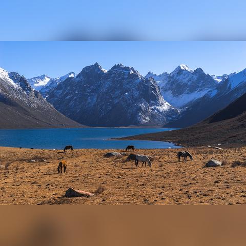 DNF天6天空套2025最新合成成本揭秘,12万点券够吗? DNF天6天空套2025最新合成成本揭秘,12万点券够吗?