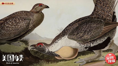 想体验美少女肉鸽刷宝快感?无限的迷宫城全新中文版本已上线! 想体验美少女肉鸽刷宝快感?无限的迷宫城全新中文版本已上线!