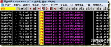 孔雀河副本速通秘籍，2025最新机制破解与高效 farming 全攻略