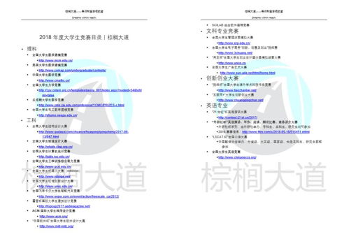 2025秋季赛绝密数据，小狗出装隐藏机制与反直觉套路全解析
