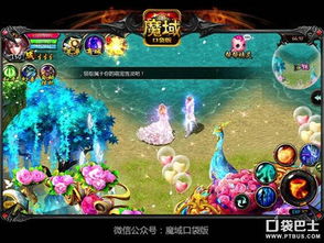 一、魔域企鹅类型底层分类,别被外观骗了 一、魔域企鹅类型底层分类,别被外观骗了