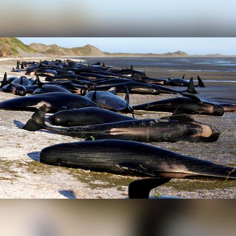 《午夜以南》击败《死亡搁浅2》拿大奖 引发热议 《午夜以南》击败《死亡搁浅2》拿大奖 引发热议