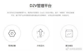 OMG柚子体系全拆解，2025夏季赛黑科技打法与counter策略实战指南