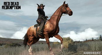 荒野大镖客救赎2025实测,马匹亲密度真的影响结局?R星数据揭秘 荒野大镖客救赎2025实测,马匹亲密度真的影响结局?R星数据揭秘