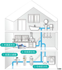 日月明尊手法天花板,2025新版配装与循环详解,3个细节决定DPS差距 日月明尊手法天花板,2025新版配装与循环详解,3个细节决定DPS差距