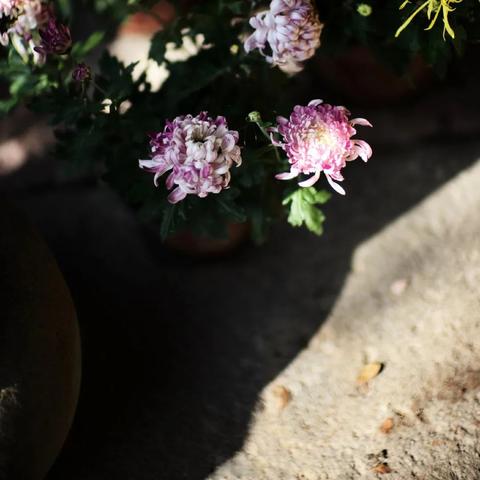 无主之地4石魔传奇付费高级内容上线，装备系统也重磅更新！