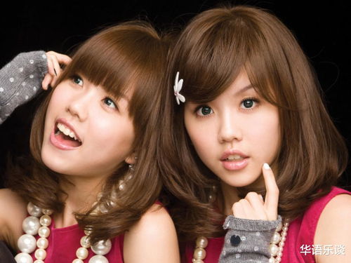 苍井空小游戏2025终极指南，Flash停更后如何玩转经典？7大替代方案实测