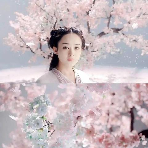 仙侠世界视频类型全解析,从入门到爆款的实战路径 仙侠世界视频类型全解析,从入门到爆款的实战路径