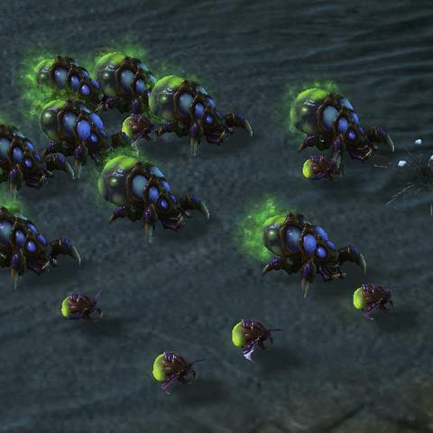 虫群之心下载全攻略，2025暴雪战网正版安装与常见问题终结指南