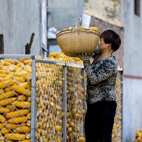 2026年2月网游版号审批结果揭晓，146款国产、6款进口游戏顺利获批