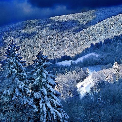 王国保卫战6，新启程2D塔防新作公布，PC与手机端同步来袭！