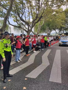 西湖停车30元一小时被吐槽 当地导游：这价都10年了