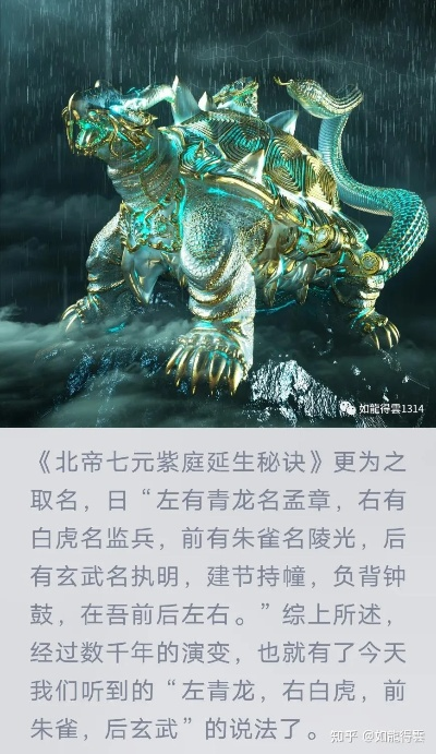 诛仙星宿系统2025绝密，青龙白虎朱雀玄武实战搭配与洗练黑话全解