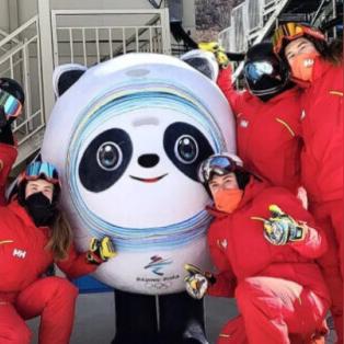 熊猫团类型定位与当前版本生态 熊猫团类型定位与当前版本生态