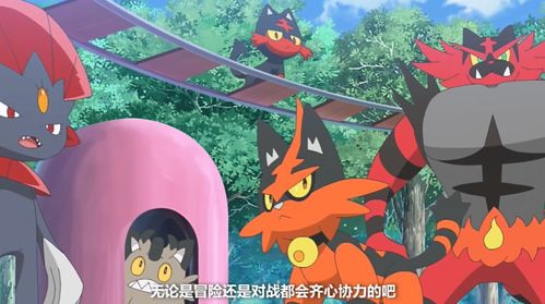 注意！NS版宝可梦，火红/叶绿给宝可梦起不雅名要重新创作