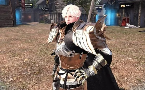 洛奇英雄传凯伊十字枪秒怪核心，2025SP循环机制与暴击阈值深度拆解