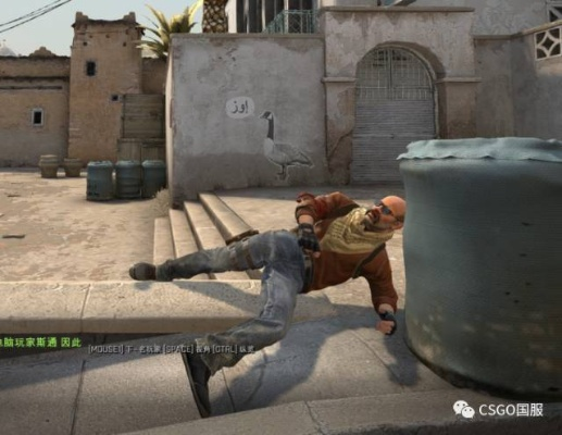 CSGO国际服竞技难民迁徙指南，从国服弃子到欧服枪男的生存法则