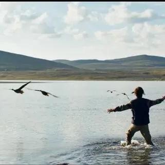 生灵重塑1.5.1 版更新，修复多处游戏崩溃问题，畅玩不再中断！