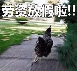 肉鸽恐怖游戏恐怖的世界1.2更新官宣，规模扩20%，新增天气系统等海量内容