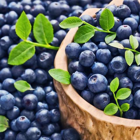 蜜风果园2026绝密攻略，3天解锁稀有作物的内部技巧揭秘