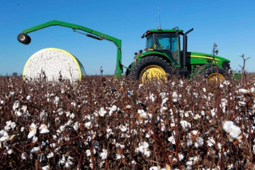 变形金刚摘棉花是啥梗？2026年农机黑科技实战解析