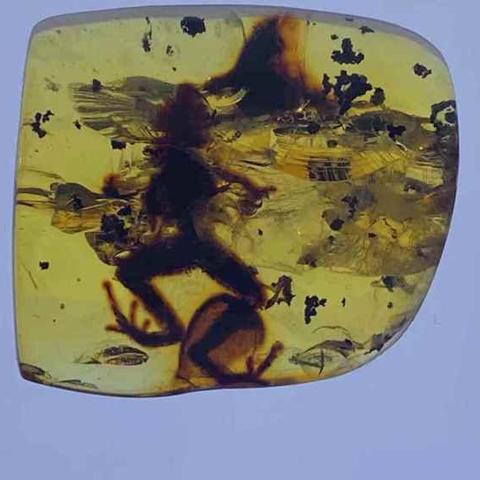 Dota2 6.87版本时间胶囊，远古强势英雄与战术复盘