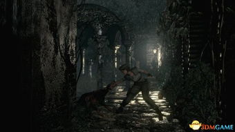 双主角设定优势尽失?外媒评《生化危机9：安魂曲》过度消费情怀