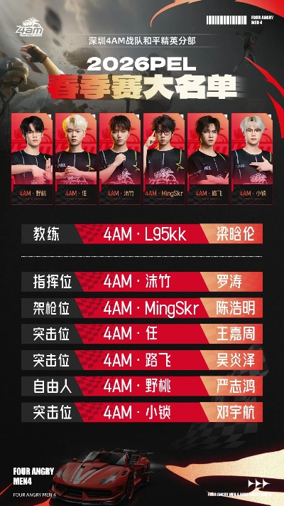 2026和平精英战队配置黄金法则，PE成员类型4维匹配模型揭秘