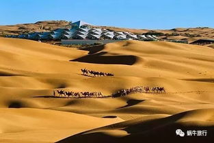 数毛社盛赞！红色沙漠将成2026年图形新标杆引期待