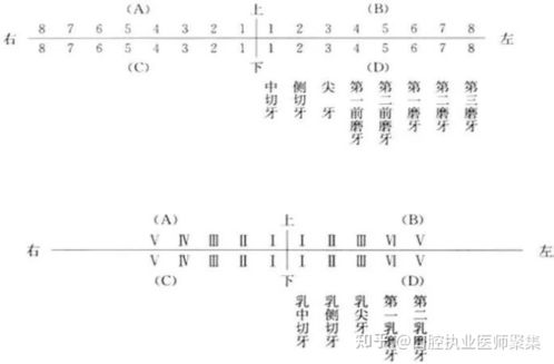 一、跳箱子类型全维度解剖，从肌肉记忆到空间算法