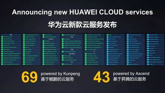 鲲鹏变类型怎么选？2026最新实战数据+高玩避坑指南